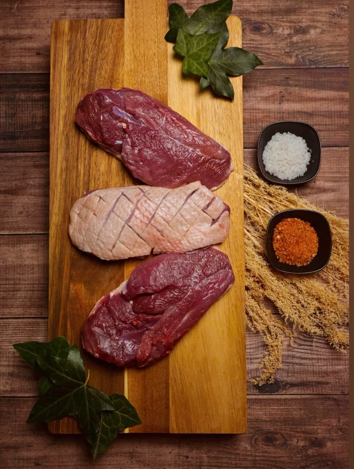 Filet de canard